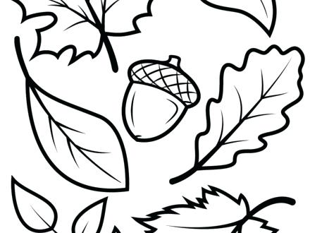 Autumn Leaves Coloring Pages Free Rosbif.co 440x330 Autumn Leaves Coloring Pages Free Rosbif.co