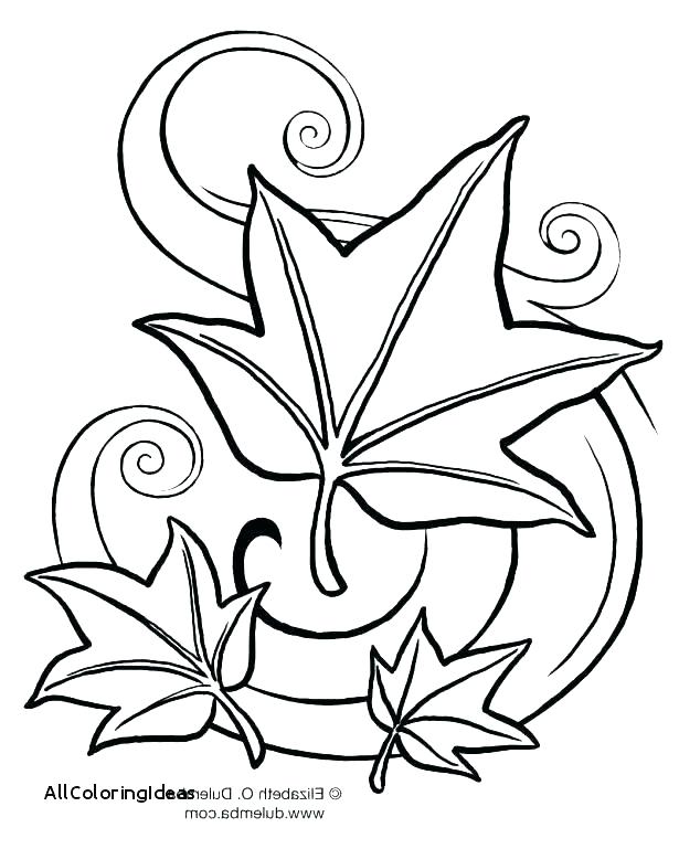 Fall Leaves Coloring Page Cliptext.co 615x769 Fall Leaves Coloring Page Cliptext.co