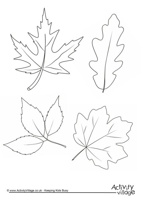 Autumn Leaves Colouring Page 460x650 Autumn Leaves Colouring Page