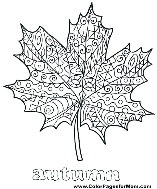 600x722 Coloring Pages Leaves Thanksgiving Leaves Coloring Pages Leaves