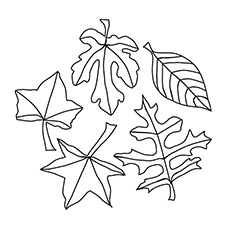 Fall Leaves Coloring Pages For Kindergarten at GetColorings.com | Free ...