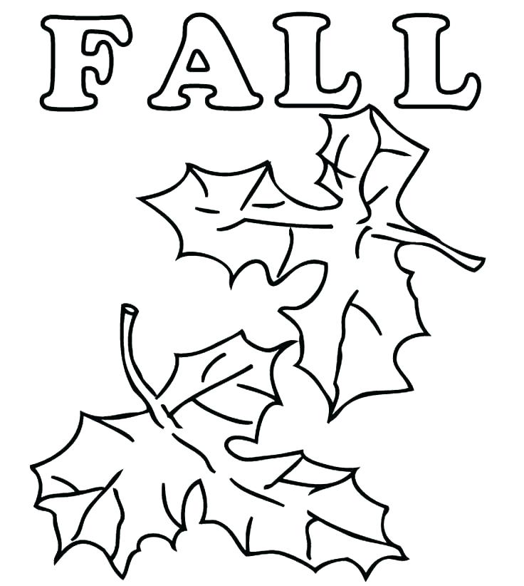 736x822 Coloring Pages Autumn Leaves Of Fall Drawing Leaf Page Preschool
