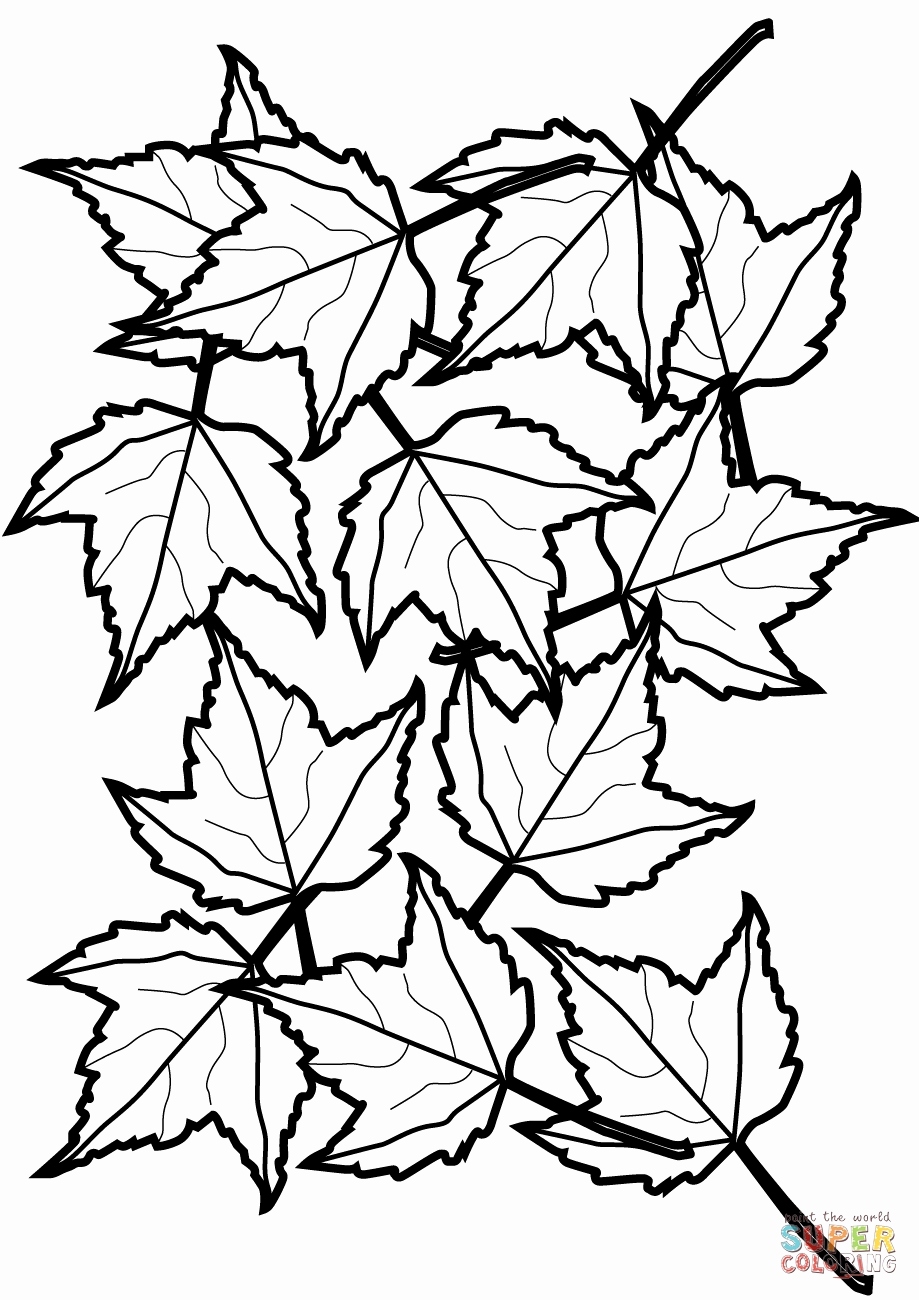 919x1300 Fall Leaves Coloring Pages Printable Best Of 23 Fall Leaves