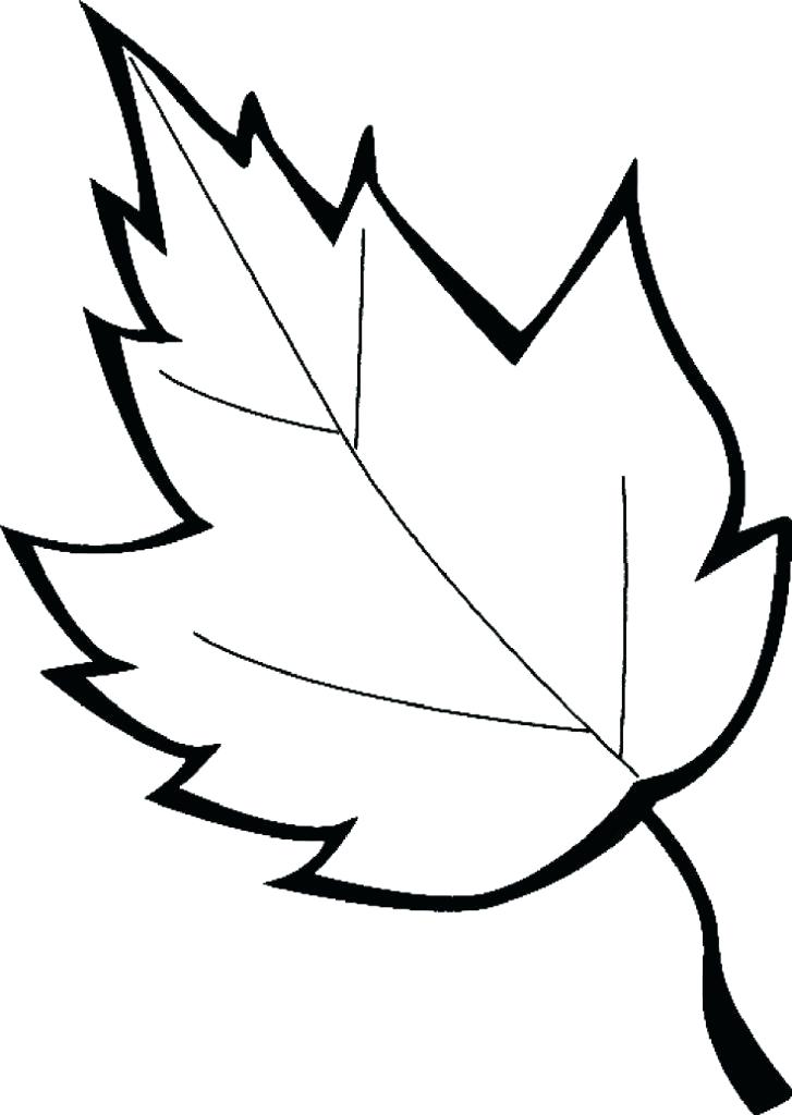 727x1024 Printable Leaves Coloring Pages Leaves Coloring Pages Printable
