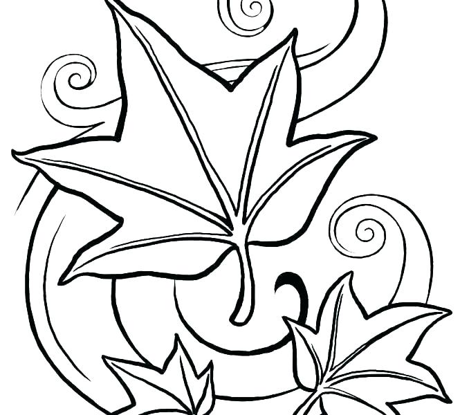 678x600 Pumpkin Leaves Coloring Pages Medium Size Of Fall Autumn Leaves