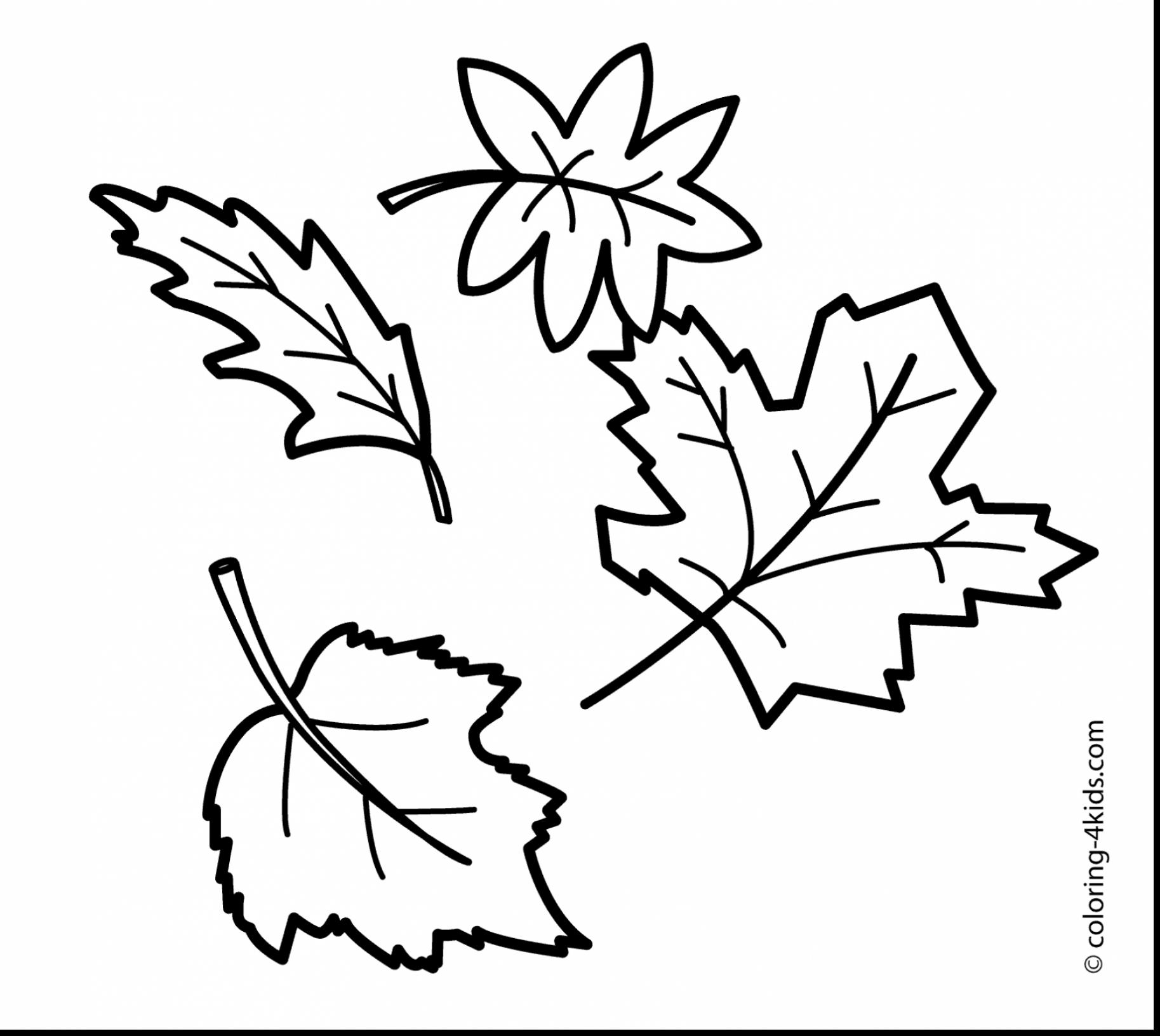 Fall Leaves Coloring Pages Printable at GetColorings.com | Free ...