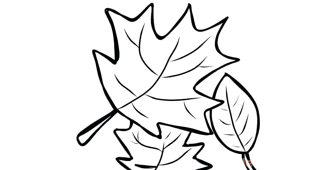 1120x584 Oak Leaf Coloring Page