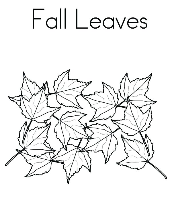 600x776 Coloring Pages Autumn Leaves Fall Autumn Coloring Pages Fall Leaf