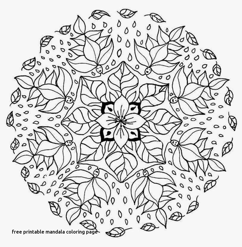 813x827 Free Printable Mandala Coloring Page