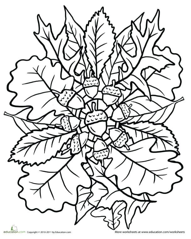609x764 Thanksgiving Mandala Coloring Pages Fall Mandala Coloring Pages