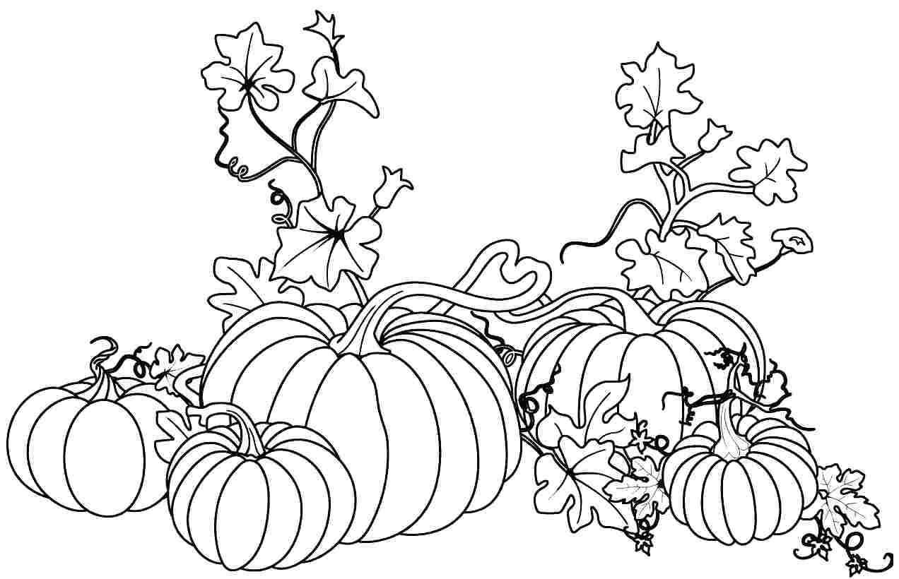 Fall Pumpkin Coloring Sheets Acpra 1272x820 Fall Pumpkin Coloring Sheets Acpra