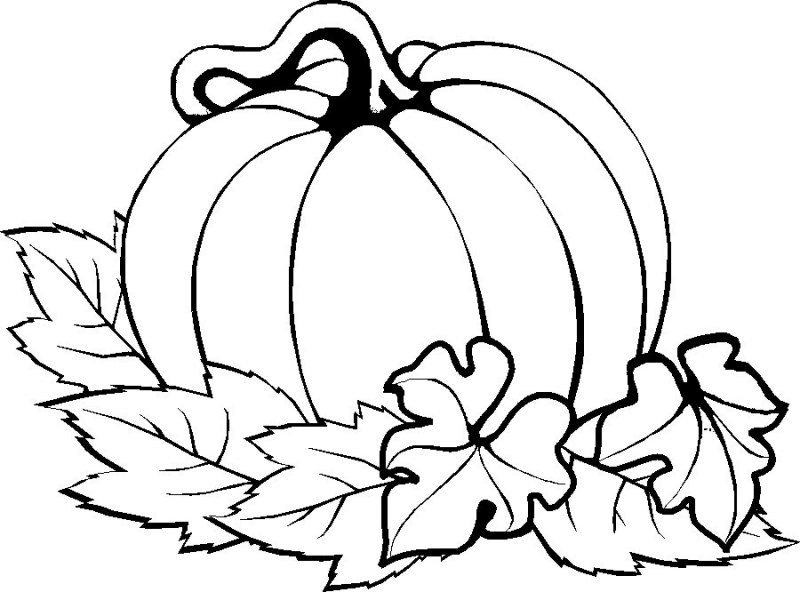 Pumpkin To Color Fall Pumpkin Coloring Pages Color Bros 800x592 Pumpkin To Color Fall Pumpkin Coloring Pages Color Bros