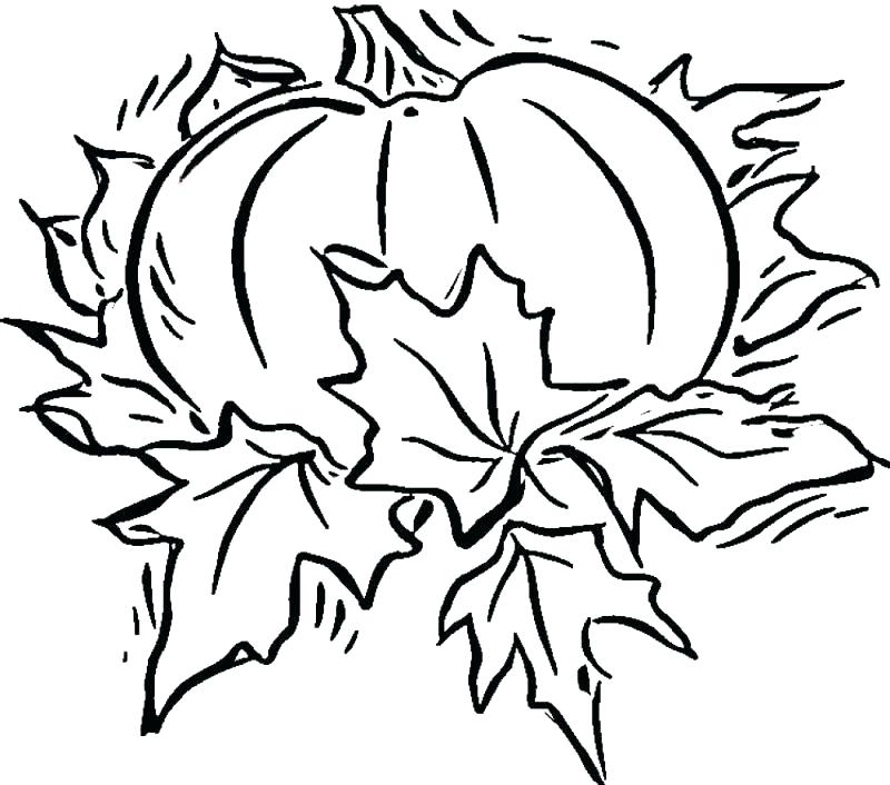 Scary Pumpkin Coloring Pages Scary Pumpkin Coloring Pages Spookley 800x706 Scary Pumpkin Coloring Pages Scary Pumpkin Coloring Pages Spookley