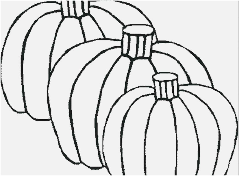The Right Portraits Pumpkin Coloring Sheets Delightful 827x609 The Right Portraits Pumpkin Coloring Sheets Delightful