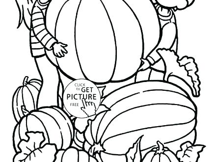 Pumpkin Coloring Pages 440x330 Pumpkin Coloring Pages