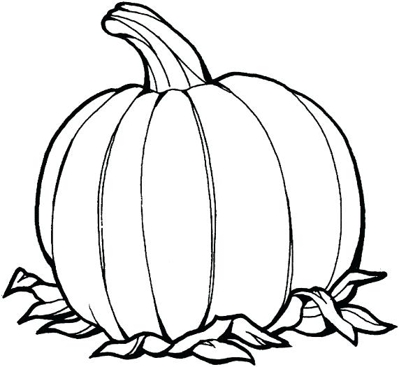 571x525 Fall Pumpkin Coloring Pages Transasia