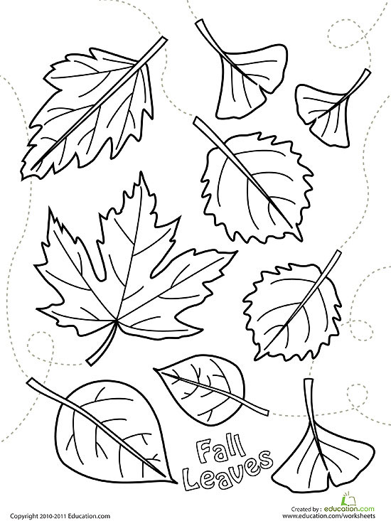 Printable Fall Coloring Pages 550x733 Printable Fall Coloring Pages