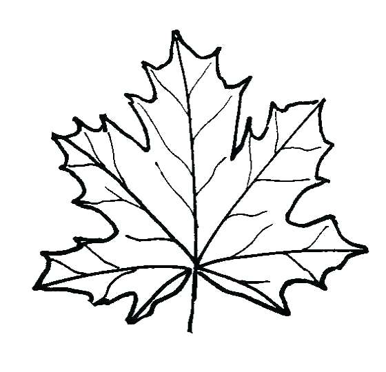 Fall Themed Coloring Pages Autumn Coloring Pages Autumn Coloring 560x540 Fall Themed Coloring Pages Autumn Coloring Pages Autumn Coloring