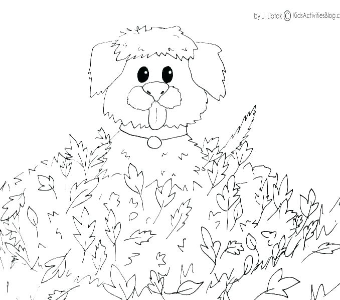 Fall Theme Coloring Pages 678x600 Fall Theme Coloring Pages