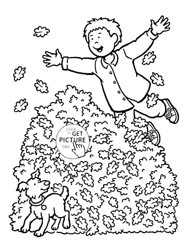 Autumn Coloring Pages Printable Leaves Coloring Pages Printable 618x813 Autumn Coloring Pages Printable Leaves Coloring Pages Printable