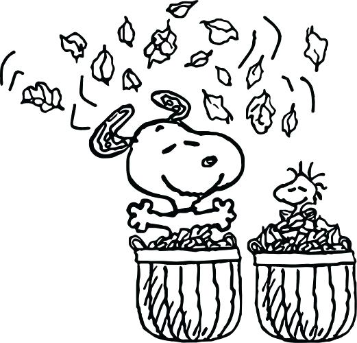 Coloring Pages Fall Coloring Pages Fall Coloring Pages 521x500 Coloring Pages Fall Coloring Pages Fall Coloring Pages