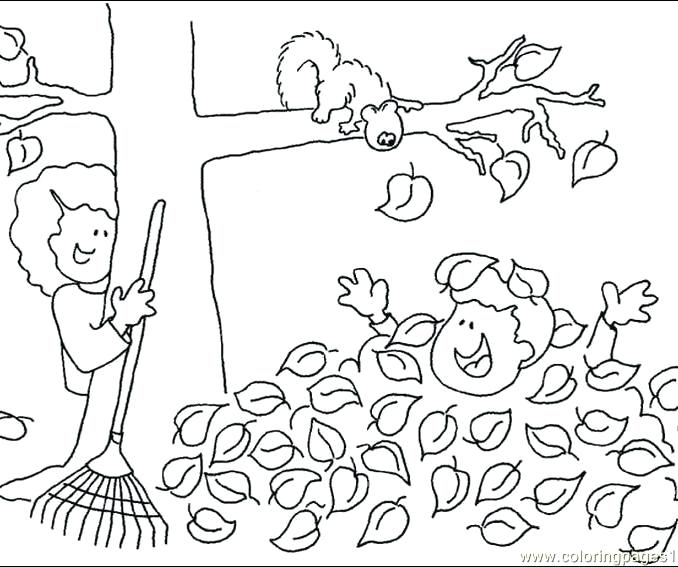 678x567 Free Coloring Pages Fall Autumn Coloring Pages Fall Tree Leaf
