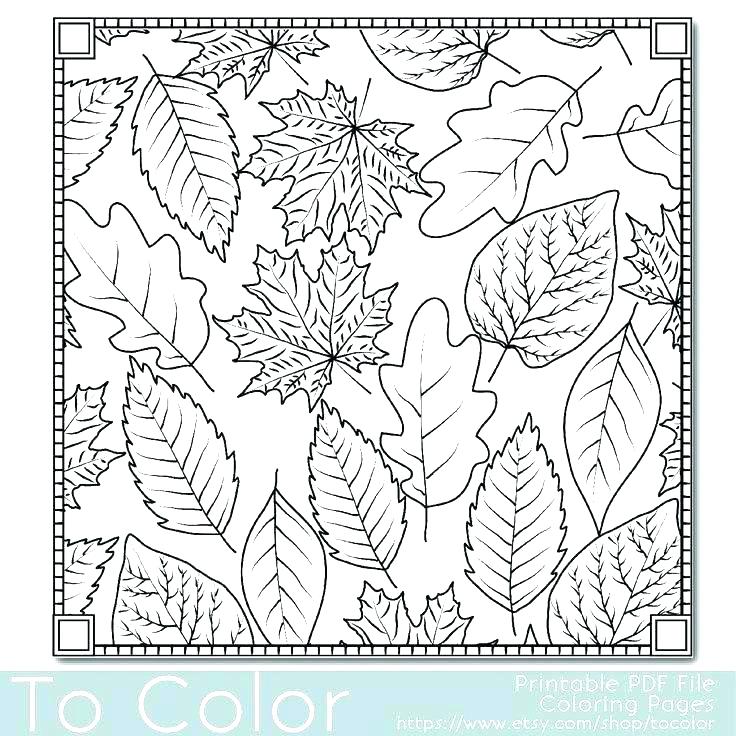 736x736 Fall Coloring Pages For Adults Fall Themed Coloring Pages Adult