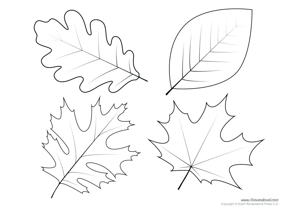 Fall Time Coloring Pages at GetColorings.com | Free printable colorings ...