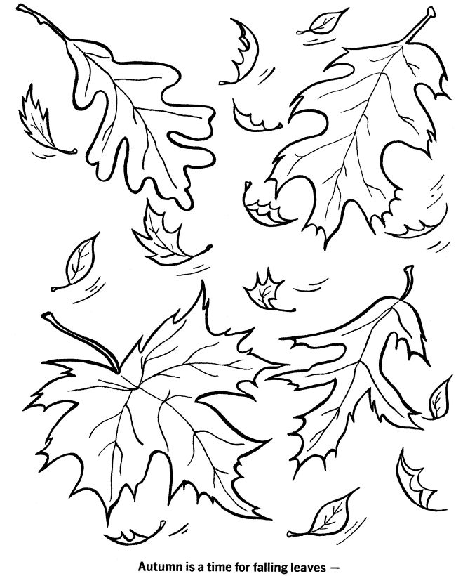 670x820 24 Best Coloring Pages Images On Fall Coloring Pages