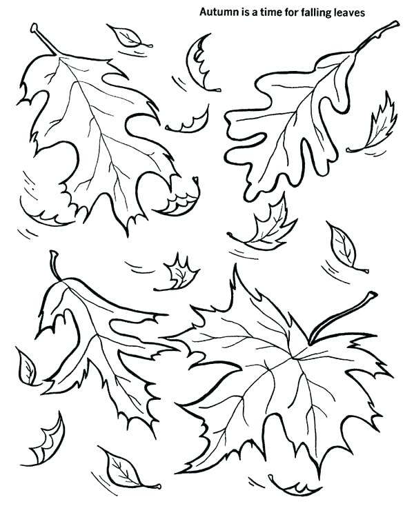 600x734 40 New Fall Leaves Coloring Pages Coloring Pages