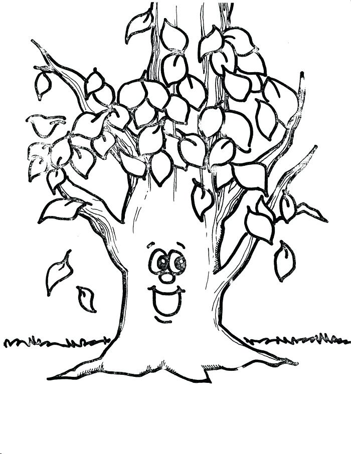 Fall Tree Without Leaves Coloring Page Kids Coloring Coloring 700x906 Fall Tree Without Leaves Coloring Page Kids Coloring Coloring