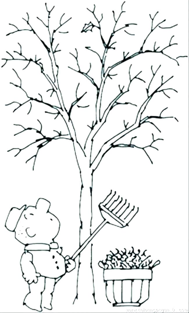 Leafless Tree Coloring Page Coloring Pages For Kids Animals Bare 650x1078 Leafless Tree Coloring Page Coloring Pages For Kids Animals Bare