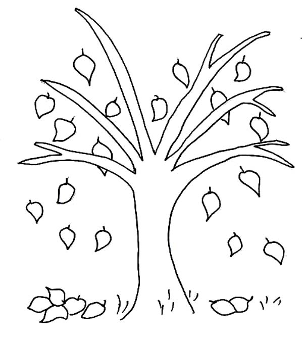 Autumn Tree Coloring Pages Batch Coloring 600x683 Autumn Tree Coloring Pages Batch Coloring