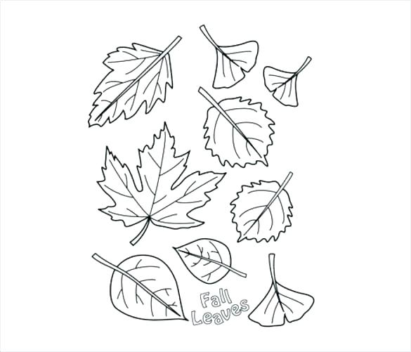 Autumn Tree Coloring Pages Printable Fall Tree Coloring Page Fall 585x501 Autumn Tree Coloring Pages Printable Fall Tree Coloring Page Fall