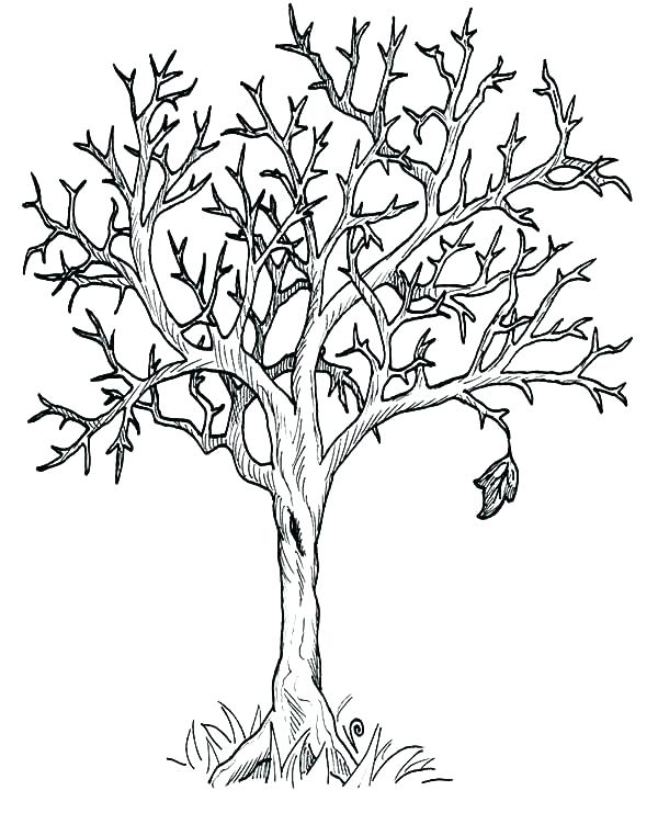 Bare Tree Coloring Page Coloring Page Tree Tree Coloring Pages 600x741 Bare Tree Coloring Page Coloring Page Tree Tree Coloring Pages