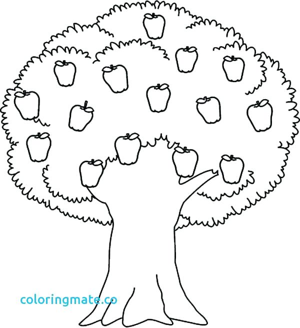 Fall Tree Coloring Pages Printable