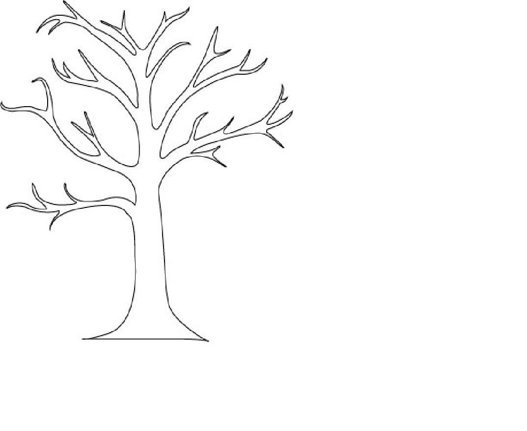 1073x877 Coloring Page Bare Tree