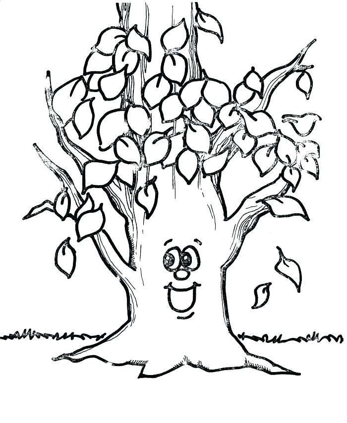 700x855 Tree Without Leaves Coloring Page Leaves Coloring Pages Printable