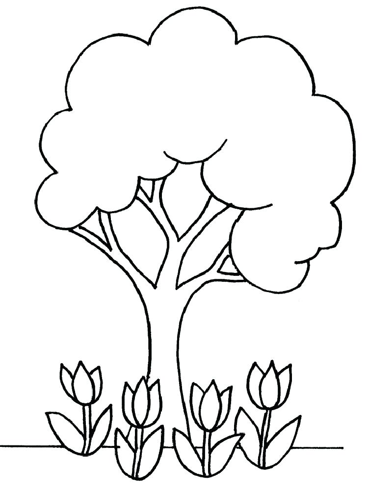 750x1000 Fall Tree Coloring Pages