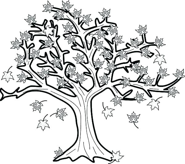 600x534 Fall Tree Coloring Pages
