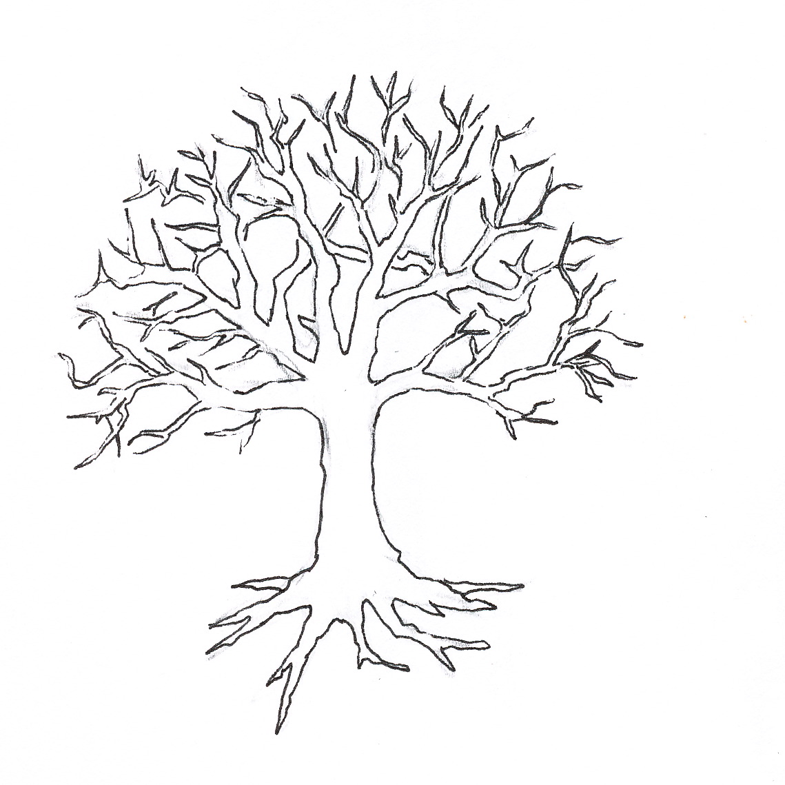 1139x1139 Bare Fall Tree Coloring Page Outline