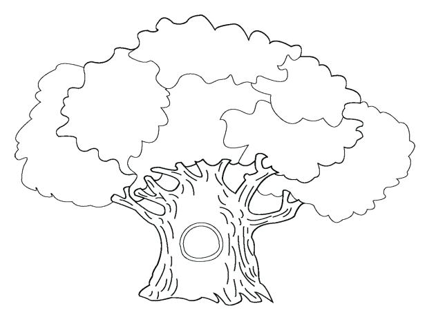618x473 Bare Tree Coloring Page Together With Bare Tree Without Leaves
