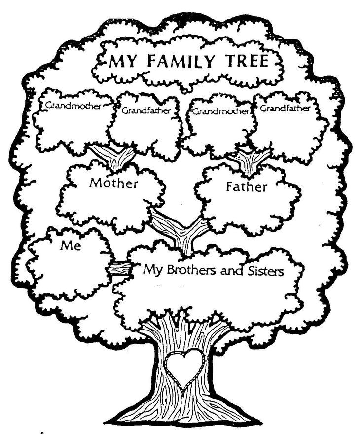 Family Tree Printable. Good For A Home School Lesson! Campd 736x892 Family Tree Printable. Good For A Home School Lesson! Campd