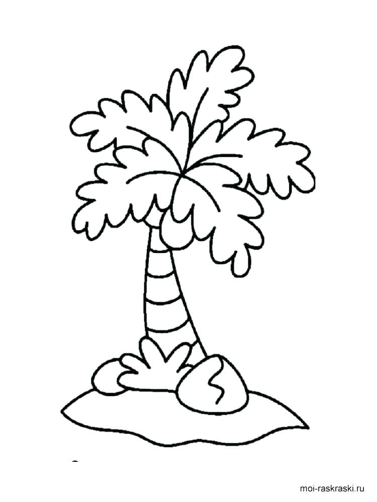 Family Tree Colouring Sheets Free Coloring Pages Palm 2 Osakawan 750x1000 Family Tree Colouring Sheets Free Coloring Pages Palm 2 Osakawan