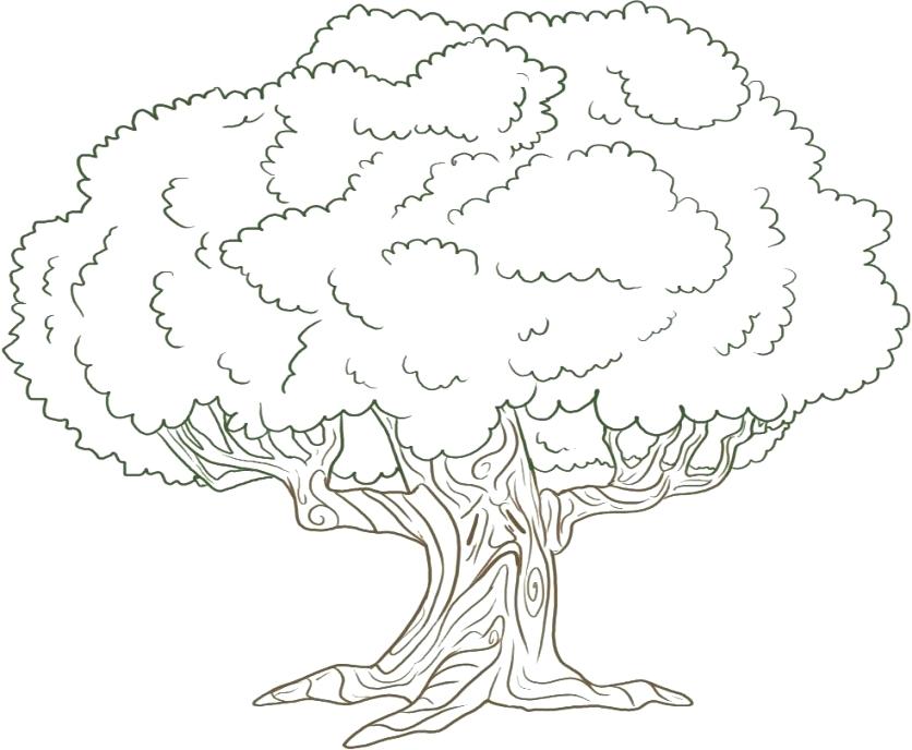 Printable Tree Coloring Pages Free Printable Tree Coloring Pages 836x688 Printable Tree Coloring Pages Free Printable Tree Coloring Pages