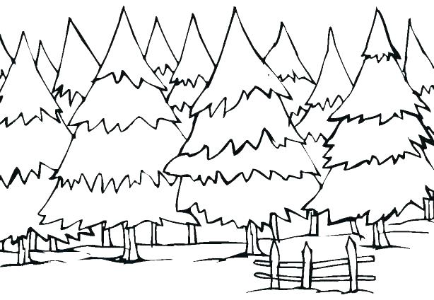 Tree Coloring Pages Coloring Pages Trees Coloring Pages 614x424 Tree Coloring Pages Coloring Pages Trees Coloring Pages