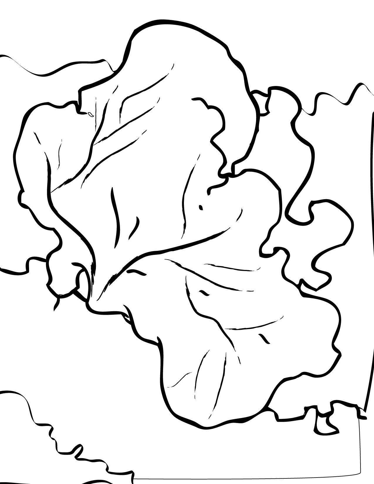 Red Sea Fan Coloring Page 1275x1650 Red Sea Fan Coloring Page