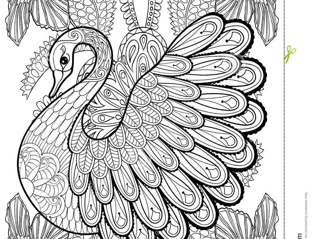 Fancy Coloring Pages For Adults at GetColorings.com | Free printable ...