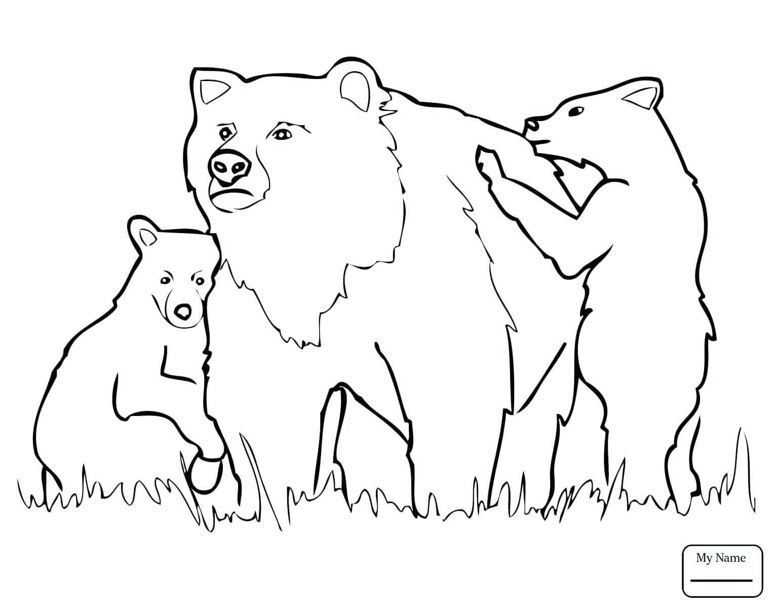 Fantastic Coloring Pages Of Grizzly Bears Gallery Resume Ideas 1530x1200 Fantastic Coloring Pages Of Grizzly Bears Gallery Resume Ideas