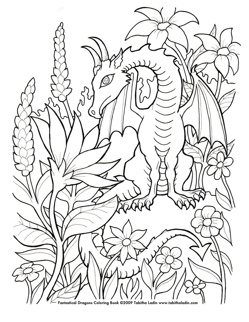 Image Detail For Fantasy Dragon Coloring Pages Submited Images 850x1100 Image Detail For Fantasy Dragon Coloring Pages Submited Images